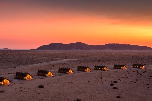 Desert Quiver Camp sfeer